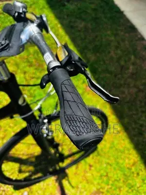 Giant Escape R3 Bicycle