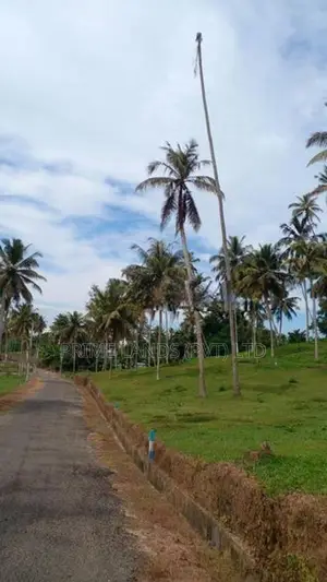 මාතර ලැබීමෙන් අගනා බිම් කොටස්