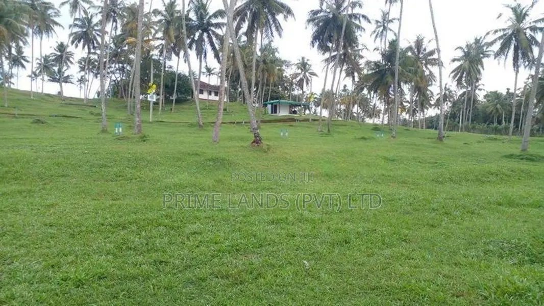 මාතර ලැබීමෙන් නේවාසික බිම් කොටස්