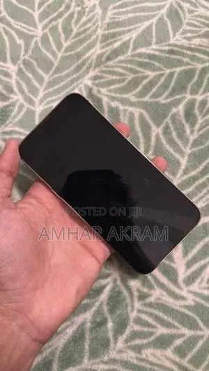 Apple iPhone 13 Pro (Used)