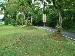 අතුරුගිරිය බොරලුගොඩ පාරෙන් බිම් කොටසක් විකිණීමට