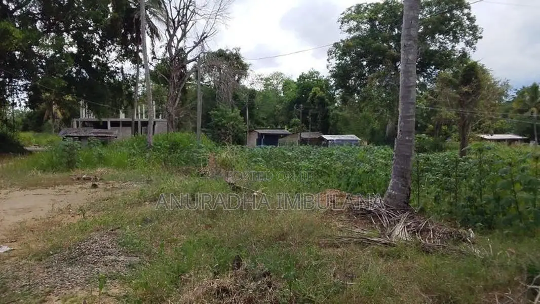 Land for Sale සියඹලාණ්ඩුව