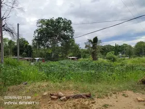 Land for Sale සියඹලාණ්ඩුව