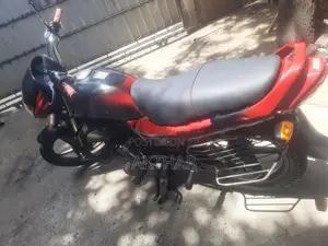 Hero Passion Plus 2009