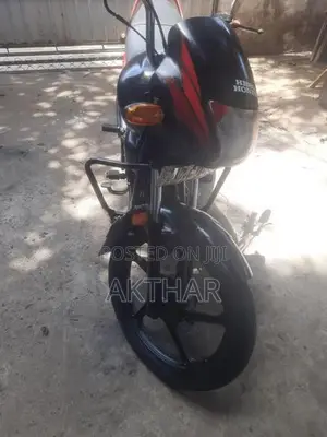 Hero Passion Plus 2009