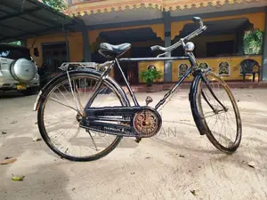 Lumala Gents Bicycle
