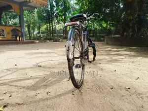 Lumala Gents Bicycle