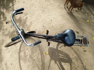 Lumala Gents Bicycle