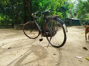 Lumala Gents Bicycle