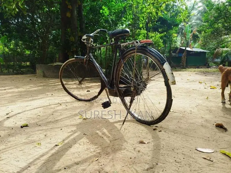 Lumala Gents Bicycle