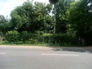 Main Road Facing Land for Sale in Anuradhapura
