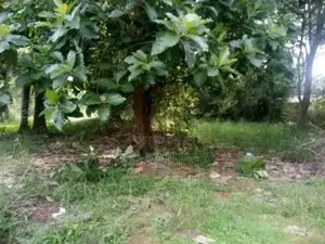 Main Road Facing Land for Sale in Anuradhapura