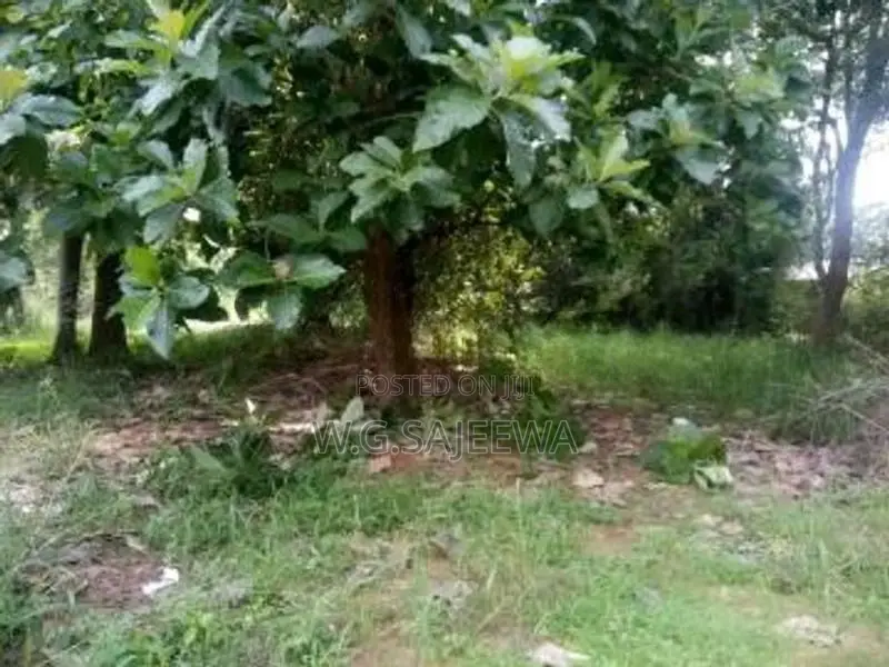 Main Road Facing Land for Sale in Anuradhapura