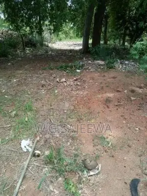 Main Road Facing Land for Sale in Anuradhapura