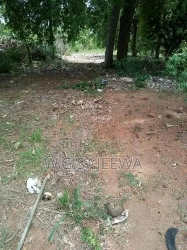 Main Road Facing Land for Sale in Anuradhapura