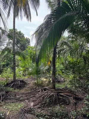 Land with House for Sale අතුරුගිරිය