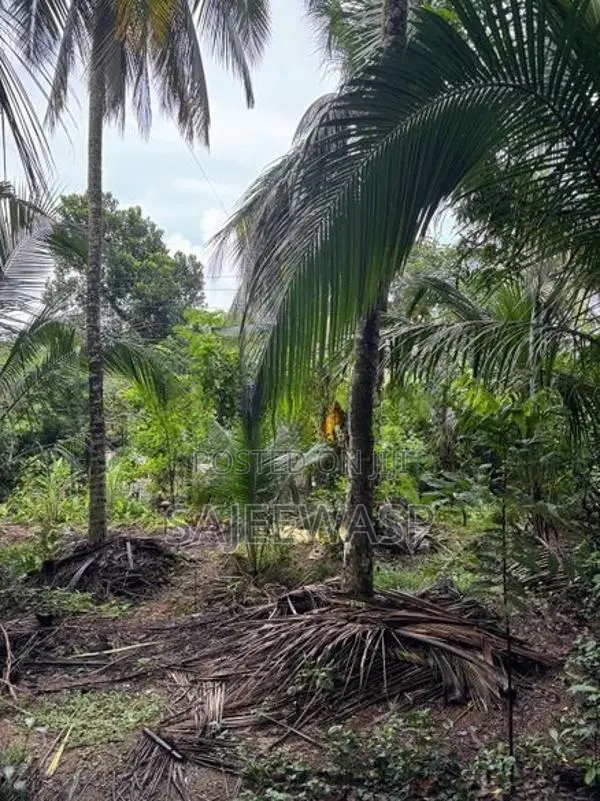 Land with House for Sale අතුරුගිරිය