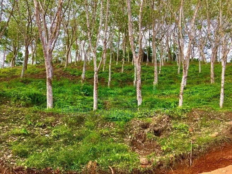 හබරාදුව දික්කුඹුර පාරෙන් නේවාසික භාවිතයට ඉඩම්
