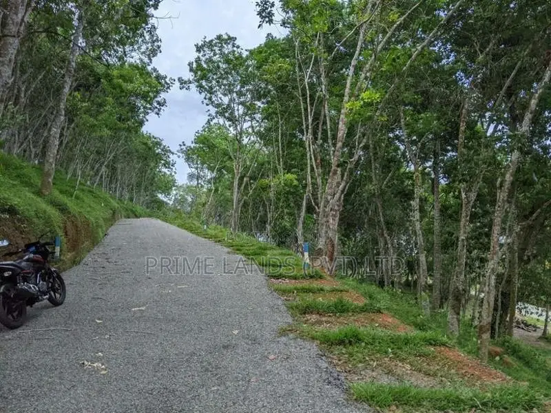 හබරාදුවට ලගින් සංචාරක කර්මාන්තය බිම් කොටස්