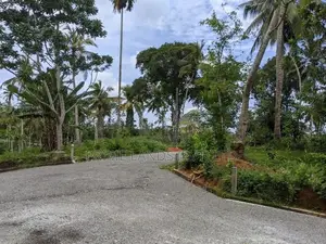 හබරාදුවෙන් සංචාරක ව්‍යාපාරයට බිම් කොටස්
