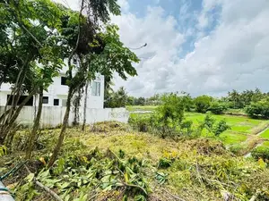 වෙල් යායකට මායිම් අනර්ඝ ඉඩමක් පිළියන්දලින්