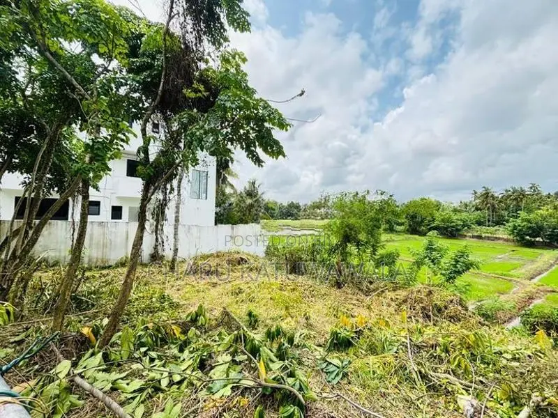 වෙල් යායකට මායිම් අනර්ඝ ඉඩමක් පිළියන්දලින්