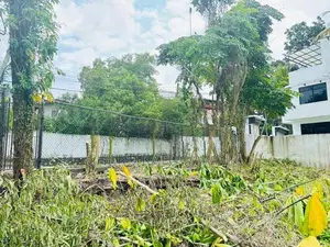වෙල් යායකට මායිම් අනර්ඝ ඉඩමක් පිළියන්දලින්