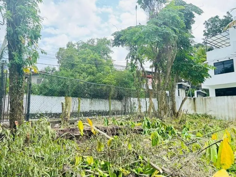 වෙල් යායකට මායිම් අනර්ඝ ඉඩමක් පිළියන්දලින්