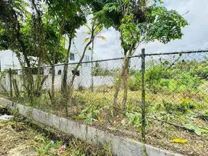 වෙල් යායකට මායිම් අනර්ඝ ඉඩමක් පිළියන්දලින්