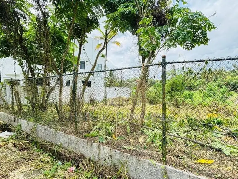 වෙල් යායකට මායිම් අනර්ඝ ඉඩමක් පිළියන්දලින්