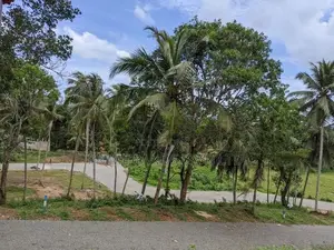 හබරාදුවෙන් බිම් කොටස් කිහිපයක්
