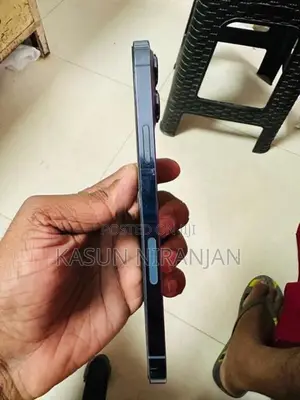 Apple iPhone 13 Pro Max (Used)