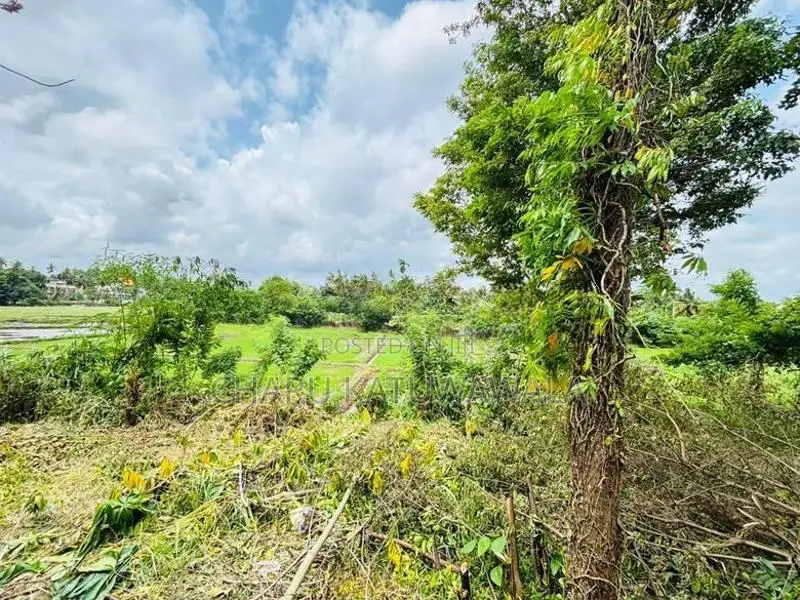 වෙල් යායකට මායිම් අනර්ඝ ඉඩමක් පිළියන්දලින්