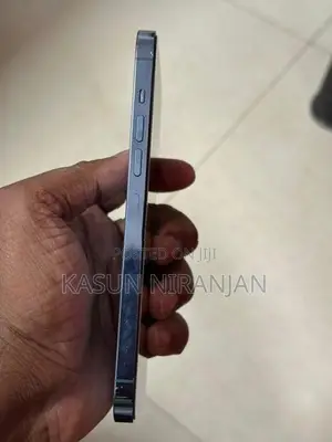 Apple iPhone 13 Pro Max (Used)