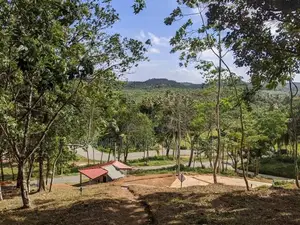 හබරාදුවෙන් බිම් කොටස් කිහිපයක්