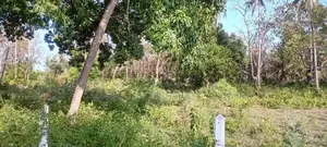 Trincomalee Land for Sale