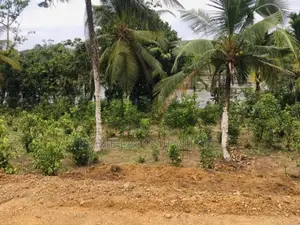 හික්කඩුව සංචාරක කලාපයෙන් ඉඩමක්