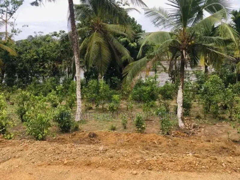 හික්කඩුව සංචාරක කලාපයෙන් ඉඩමක්