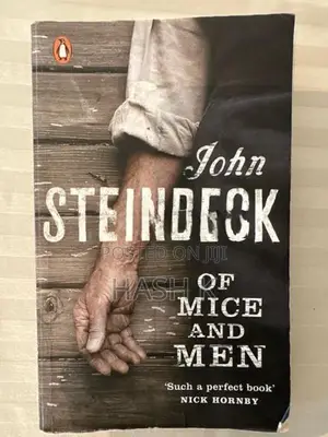 Novel Book