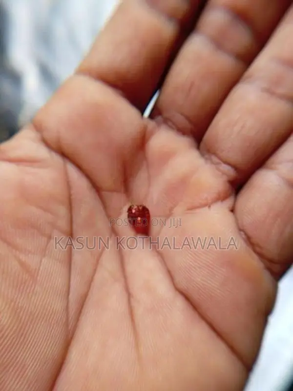 Gem Stone