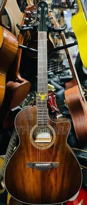Acoustic Guitar