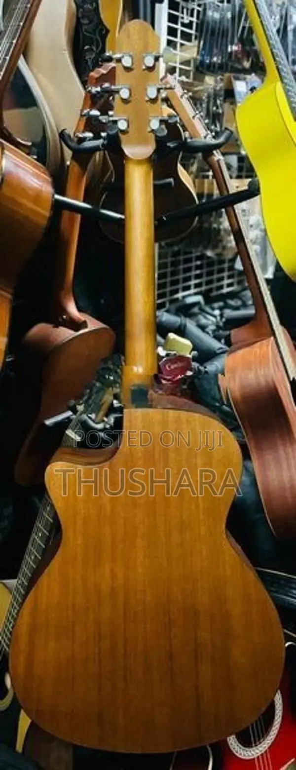 Acoustic Guitar