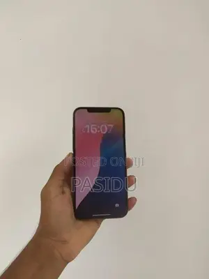 Apple iPhone 12 Pro Max (Used)