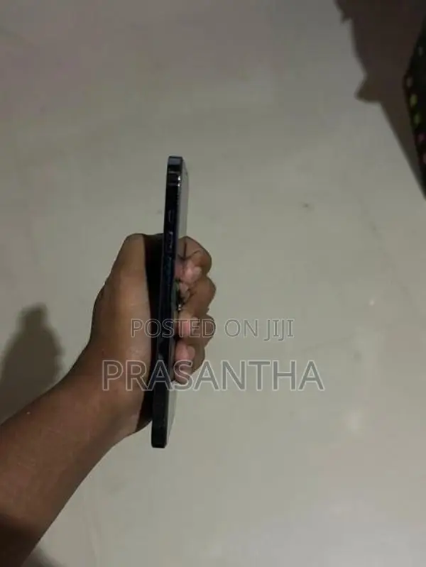 Apple iPhone 12 Pro Max (Used)
