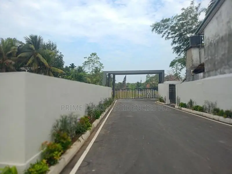 කිරිබත් ගොඩින් අගනා බිම් කොටස්