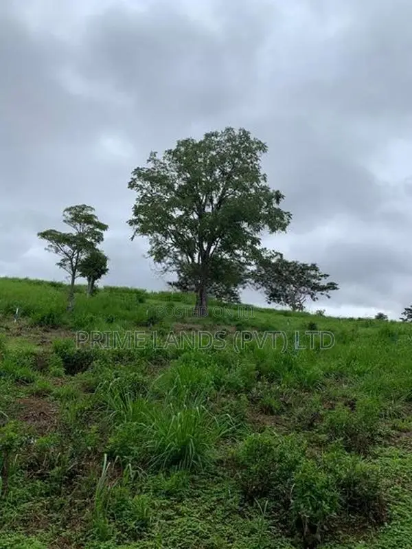 Land for sale in Pussellawa