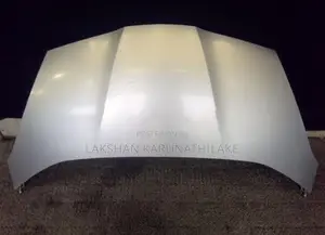 Honda Fit Bonnet GP1