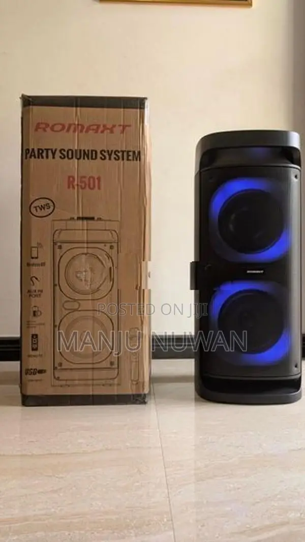 Romaxt R501 OutDoor Party Speaker