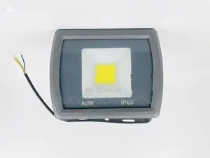 Flood Light 50W