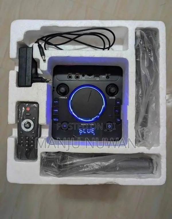 Romaxt R501 OutDoor Party Speaker